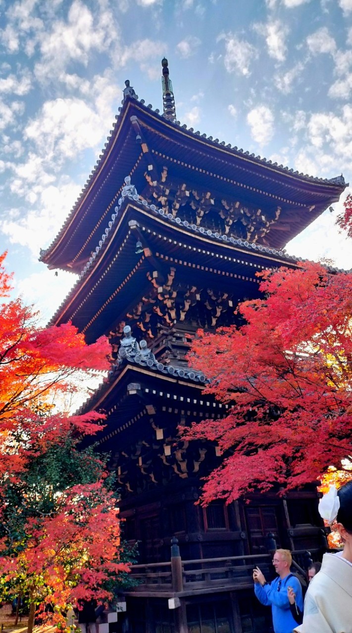 京都シングル４５才から５９才友達