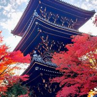 京都シングル４５才から５９才友達