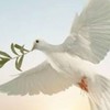 教育論壇-打氣取暖及教育爆料討論區(校事會議)