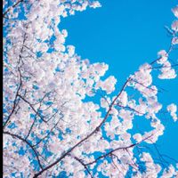 学生同士で雑談しようぜ！