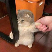 心情抒發