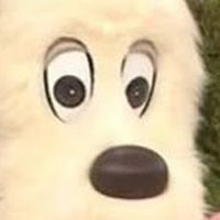 顔見せ合おー！顔採点も！！