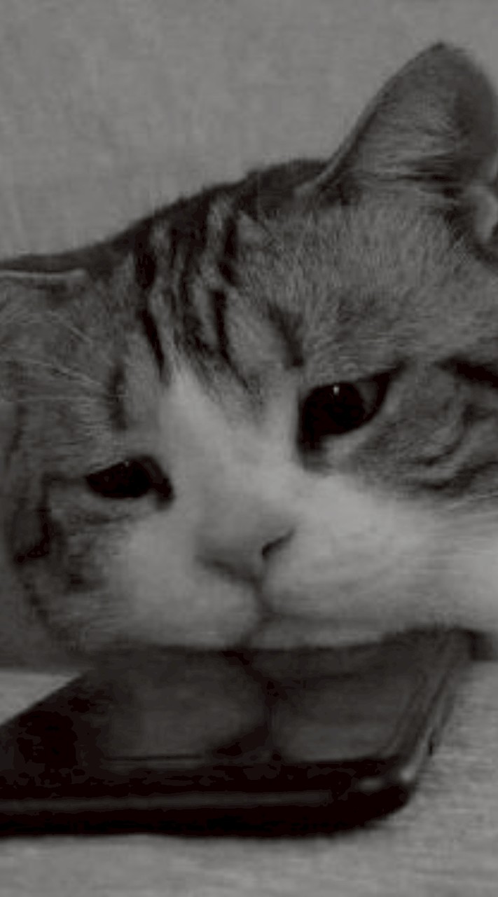 sxxn 髪 に 芋けんぴ 付いてるぜ ★ 激 緩 ゞ 也 ❣️❣️