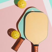幕張ベイパーク　ピックルボールサークル