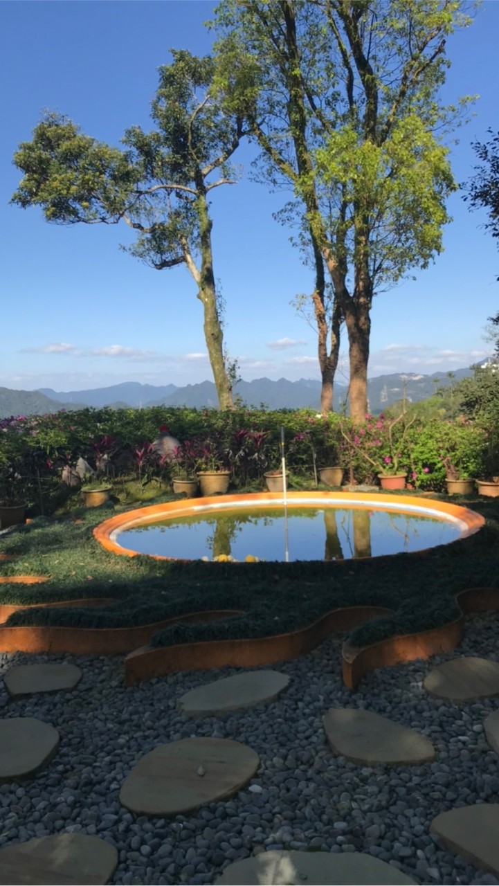 元天保健直播蓮心群