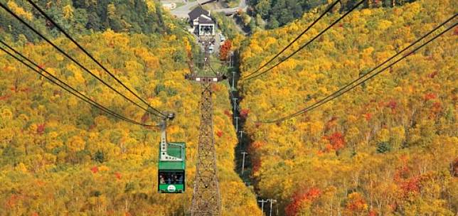 北海道賞楓 從市中心到野外秘境 必去紅葉景點大全集 Compathy Magazine Line Today