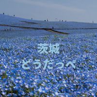 茨城どうだっぺ