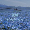 茨城どうだっぺ