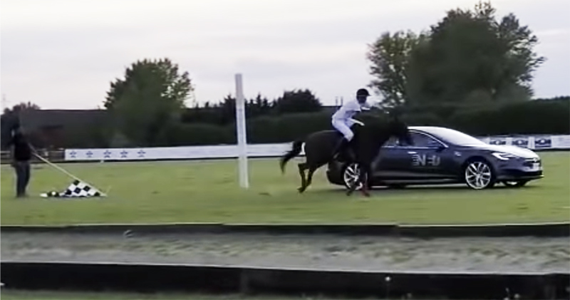 一匹馬 vs. 590 匹馬力的 Tesla Model S