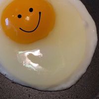 东南亚漂流记