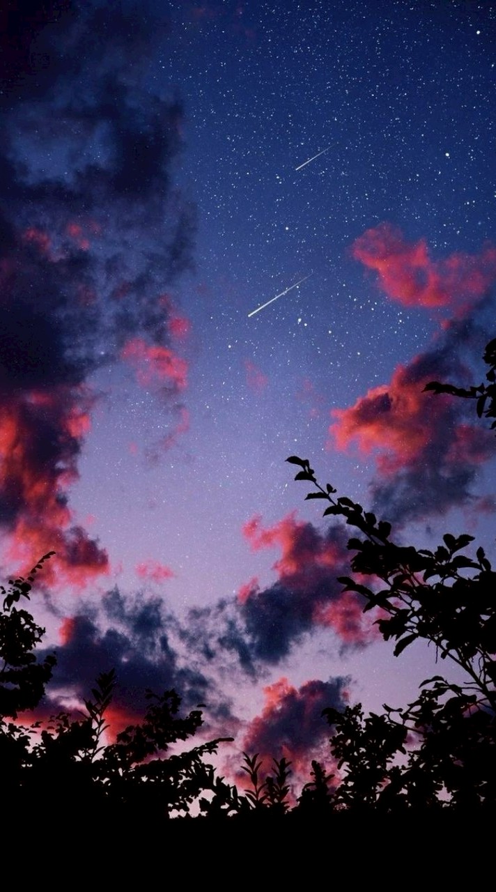 全緩也＿＿＿＿＿エレメント🪄ꕀ