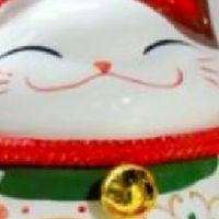 肥貓現貨批發商城