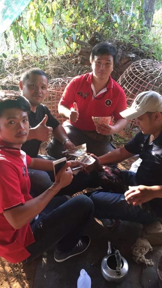 ทีมงานคนรักไก่ชน