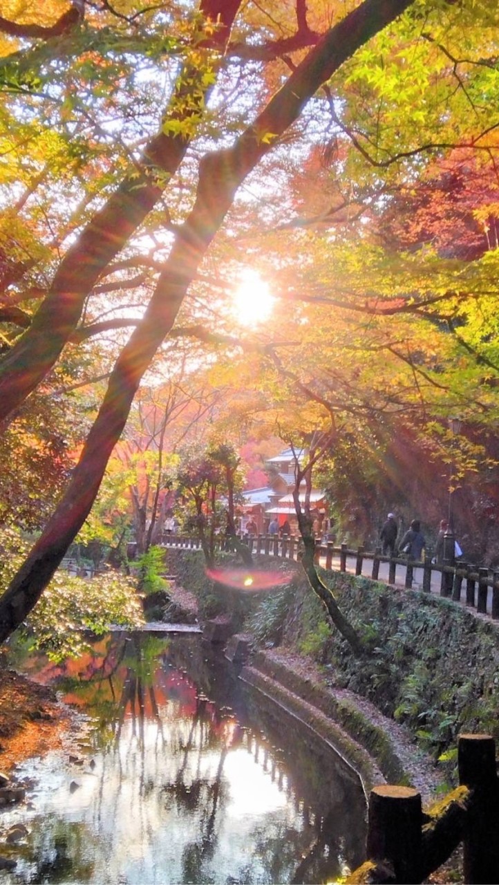 世界平和を願い〜出来ることから少しずつ✨️