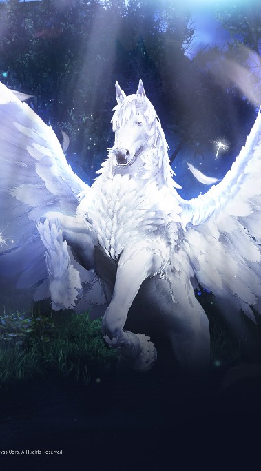 Black Desert [ PC ]