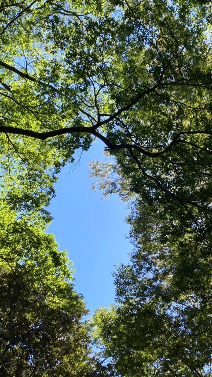 ✴︎リアル川越周辺🌈セ）happy未来創る