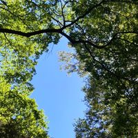 ✴︎リアル川越周辺🌈セ）happy未来創る