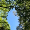 ✴︎リアル川越周辺🌈セ）happy未来創る