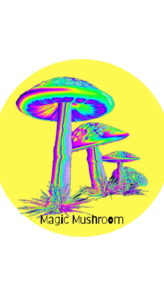 Magic Mushroom!!のオープンチャット