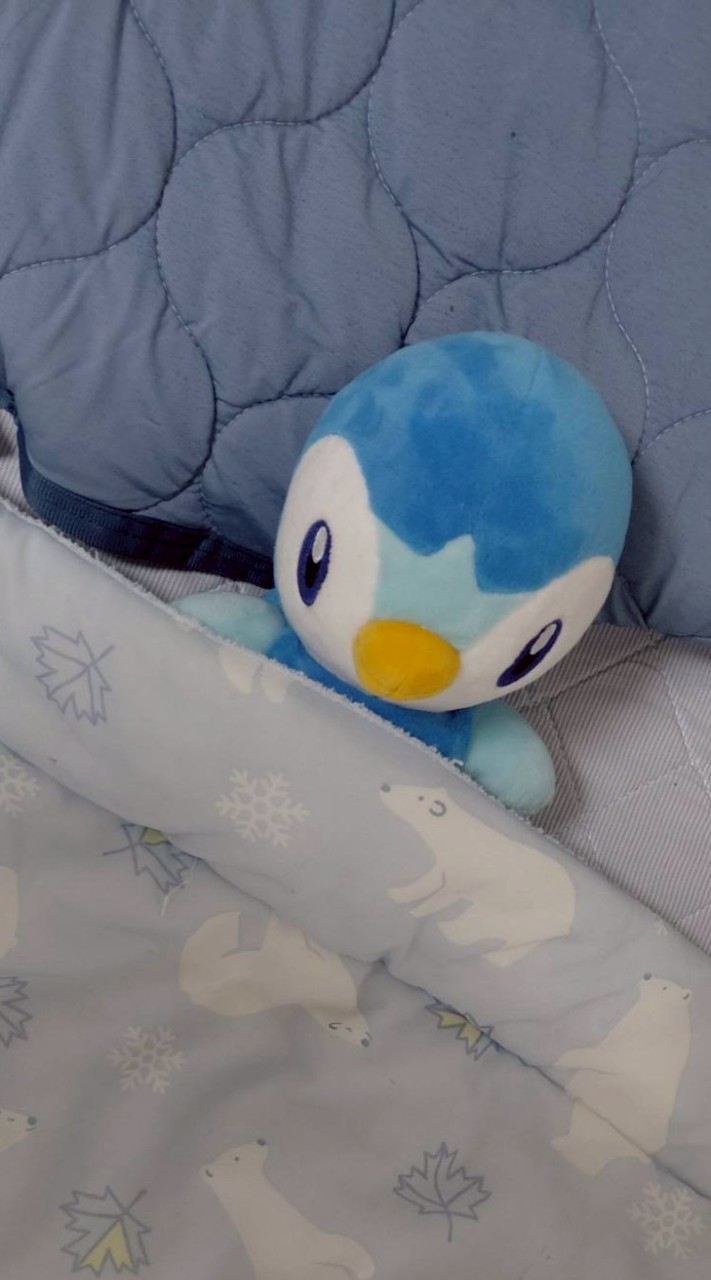 中高生のポケモン会