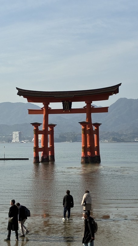 Toy Verse各國代購