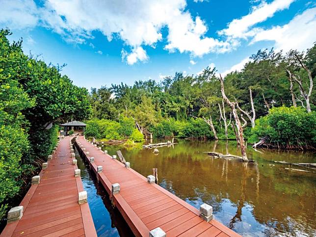 ▲圖片來源：雲嘉南濱海國家風景區管理處