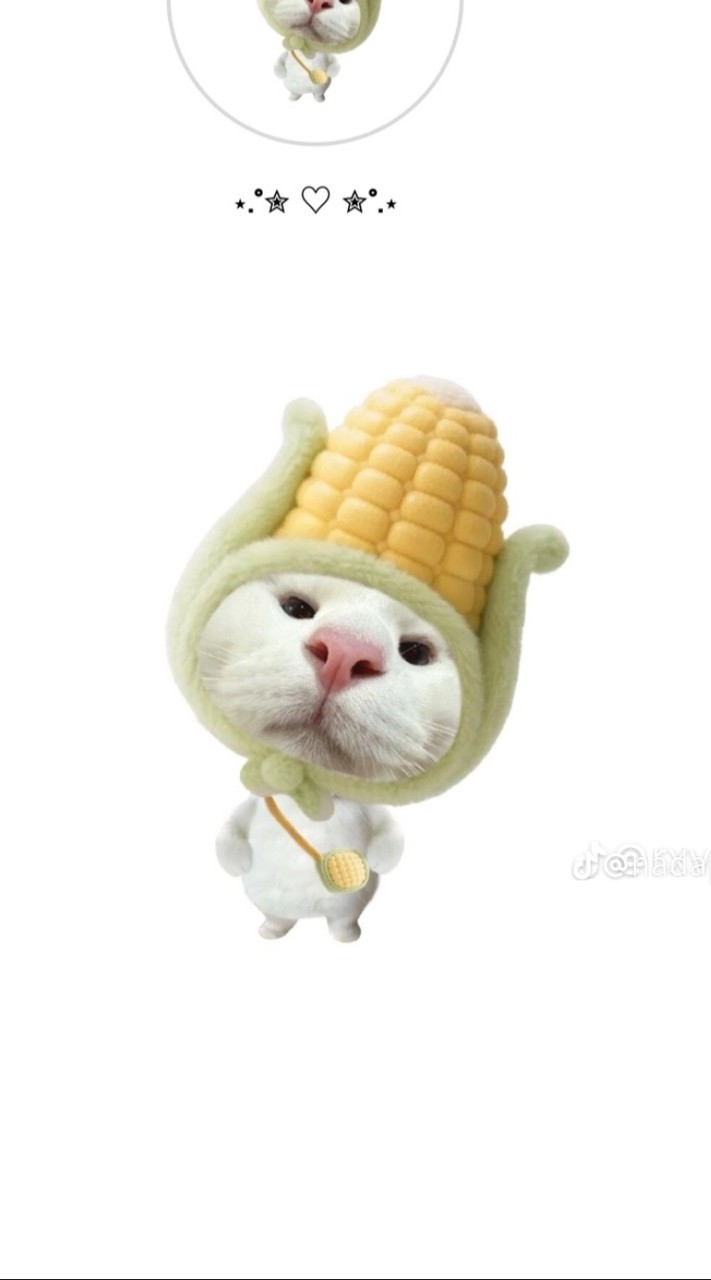 คนชอบเล่นเกม roblox 100%