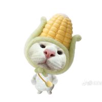 คนชอบเล่นเกม roblox 100%