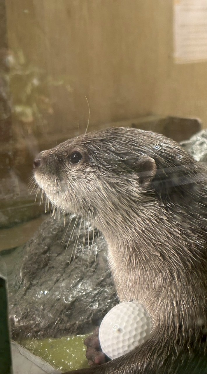 水族館大好きオタク集まれっ!