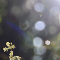 2026冠林晨會菁英群/講師/主持/DJ/結語