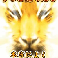 、