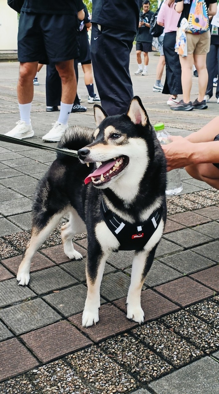 兒童發展評估療育中心參訪