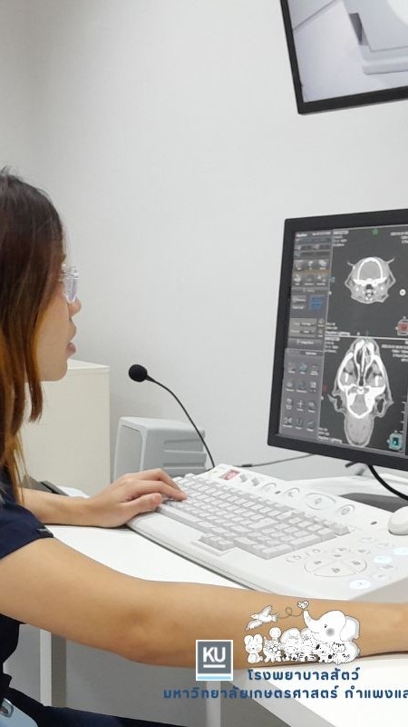 นัด CT scan KU KPS
