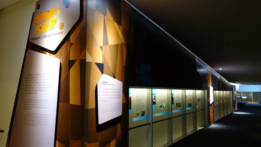 南科考古館 台南南科考古館｜用藝術呈現新科技與古文明，還有蔦松家、黃色天井、玻璃時光廊道超好拍 4 2022