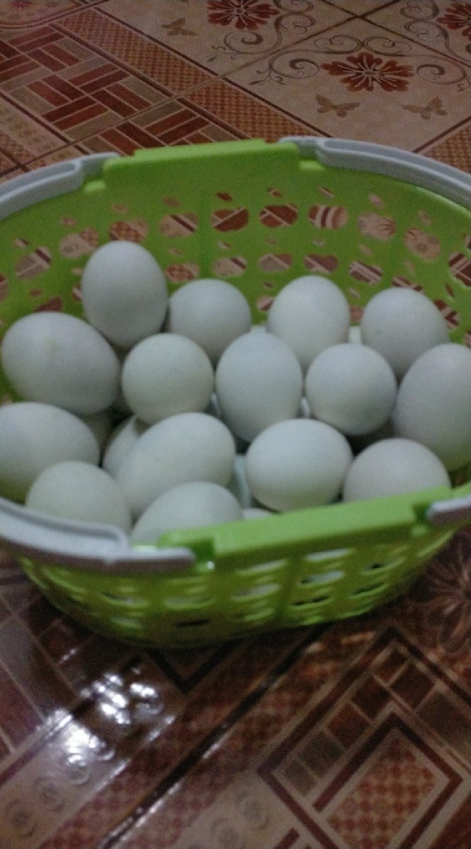 แม่ไก่ไข่เค็ม🥚