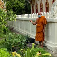 สวนผัก วัดจุมพล