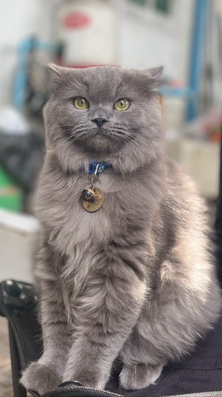 เงินๆ ทองๆ