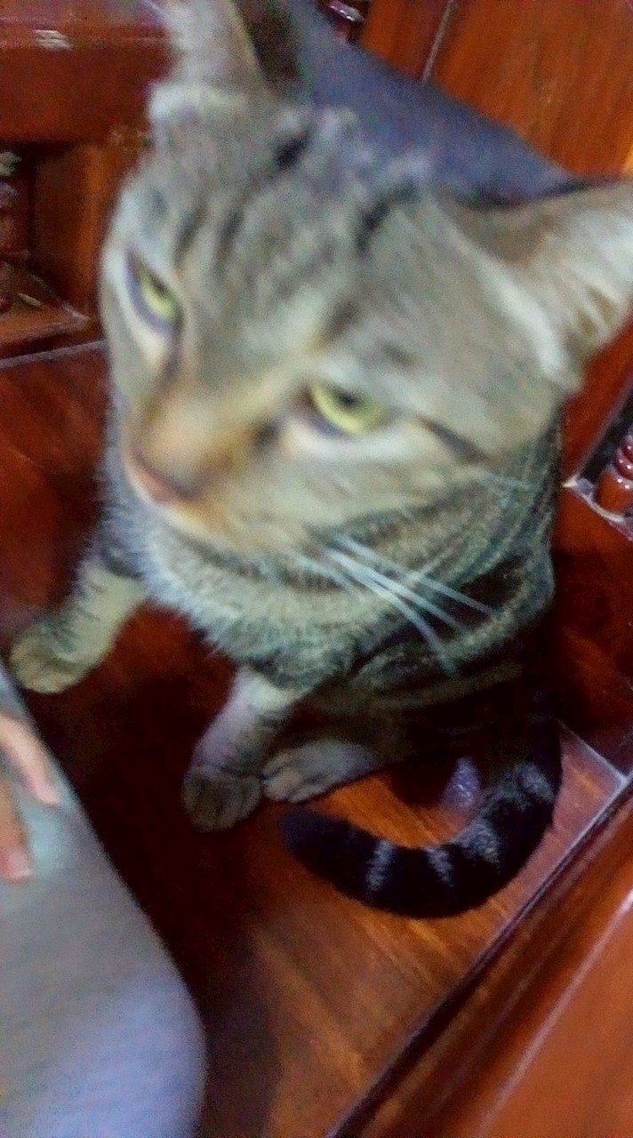 คุยเล่น