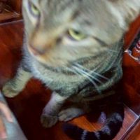 คุยเล่น