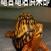 龜言龜語俱樂部