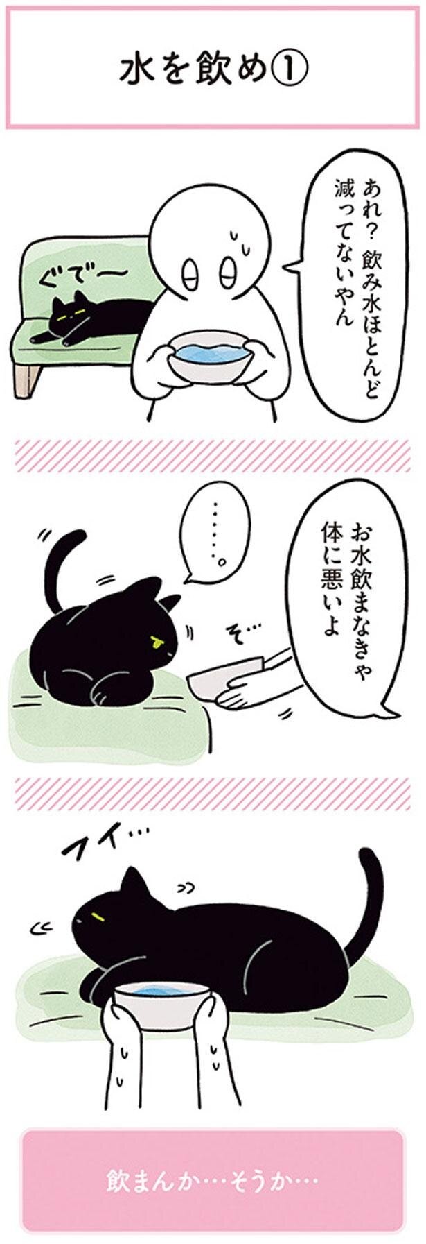 面倒くさがりめ 黒猫ろんと暮らしたら2 6