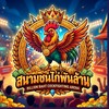 สนามชนไก่พันล้าน