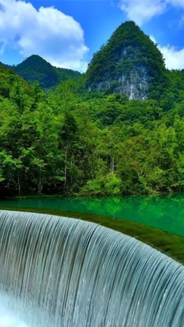 社團法人自癒商務產業旅行吃喝玩樂交流