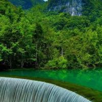 社團法人自癒商務產業旅行吃喝玩樂交流