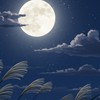 ✧̣̥̇‧✦    鬼滅の刃  也   ✦‧✧̣̥̇