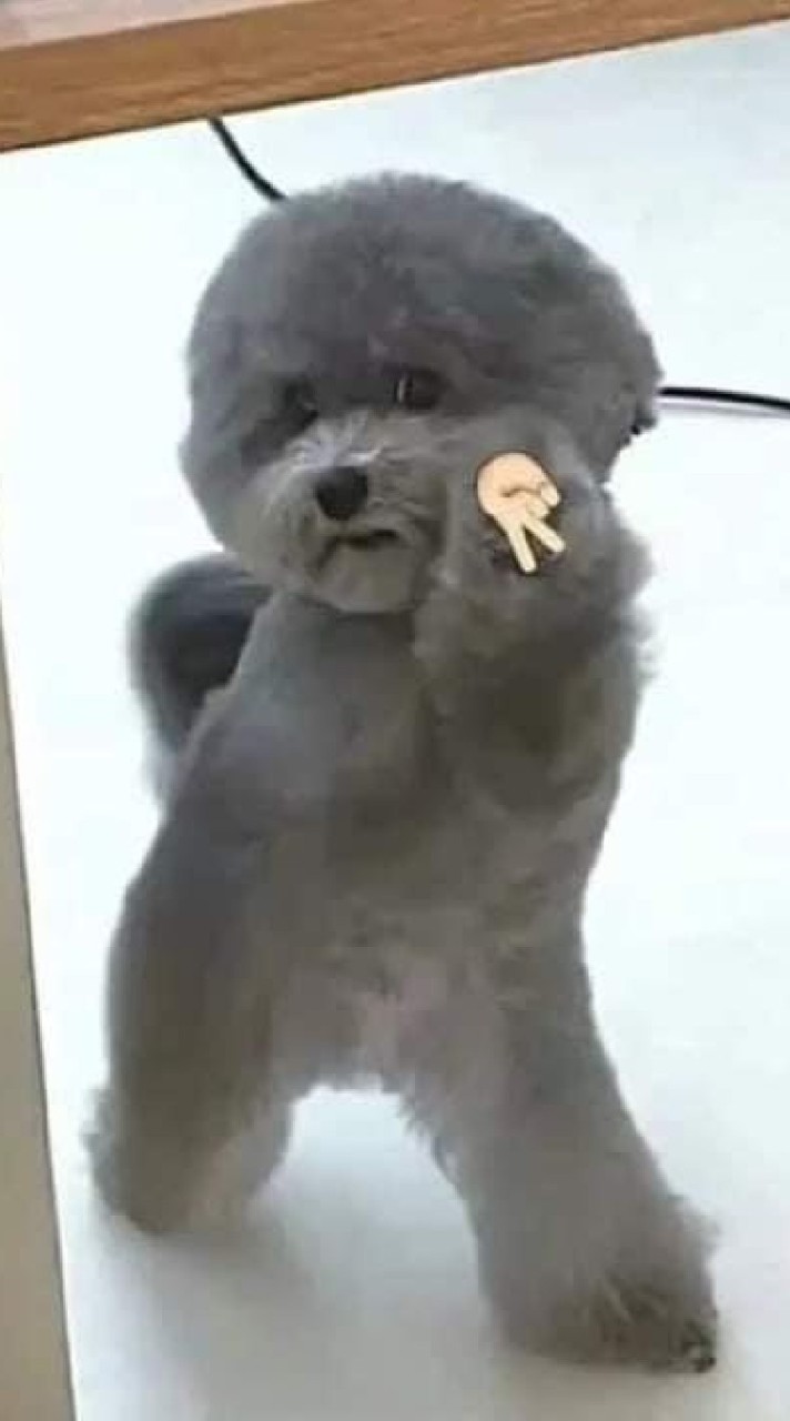 大學生吃土也要玩爬