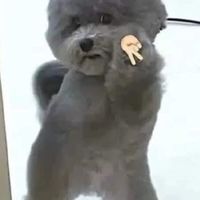 大學生吃土也要玩爬