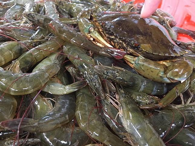 ▲好蝦冏男社？小編也好奇想問，哪裡囧了？（圖/奧丁丁市集）