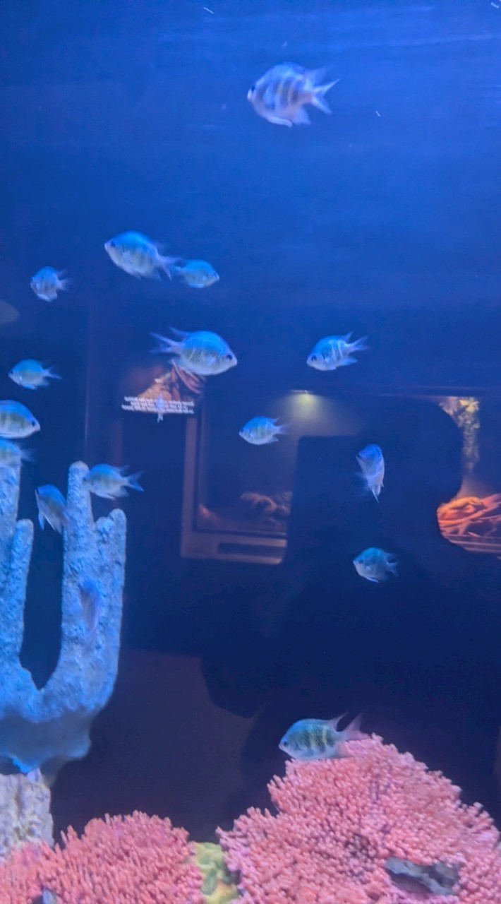 クトゥルフ神話TRPG　「悠々卓」