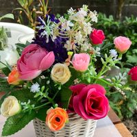 🌸穏やかな日々🌸楽しくお話ししませんか！